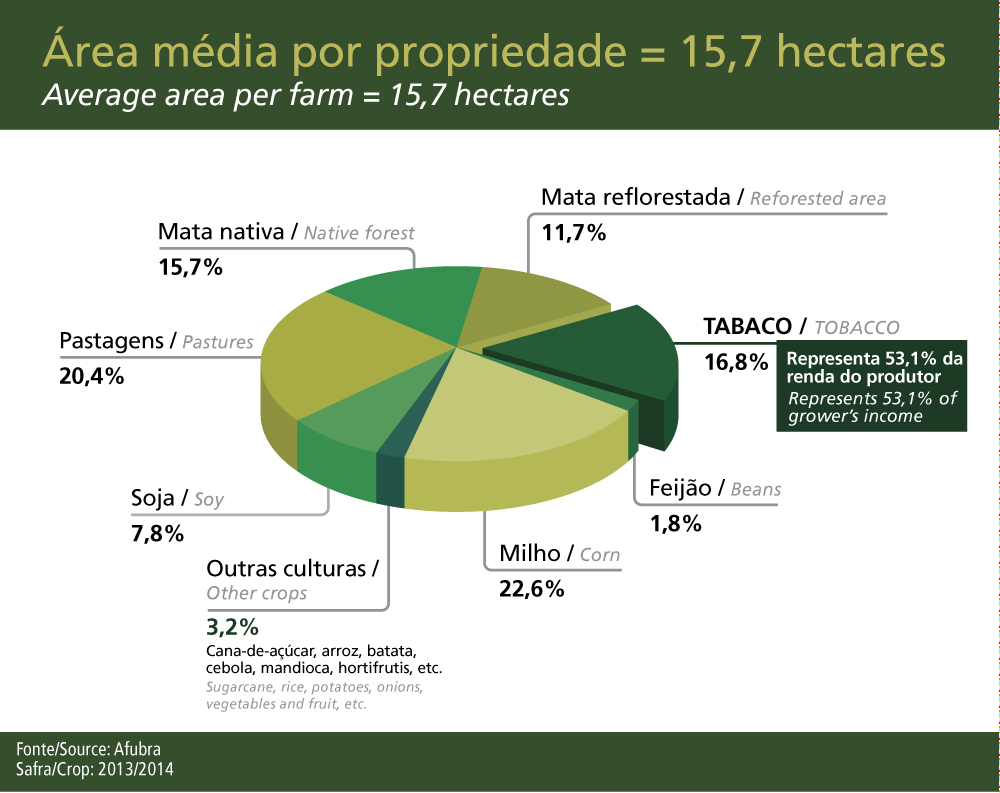 O tabagismo no mundo e no Brasil