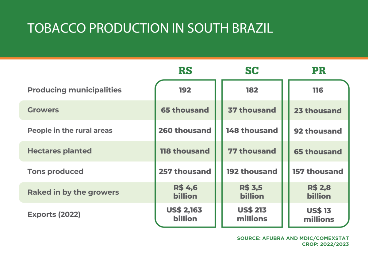 Tobacco Production in South Brazil