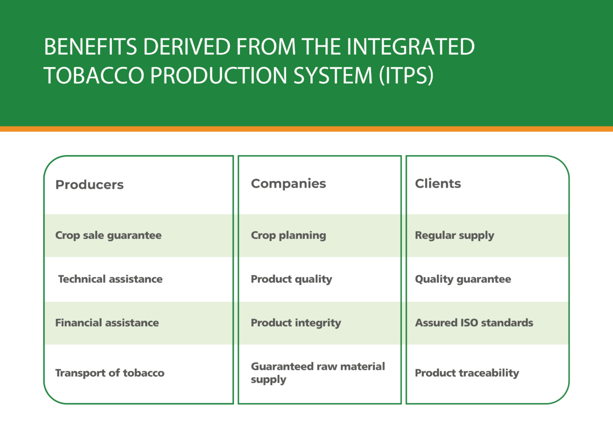 Benefits derived from the Integrated Tobacco Production System (ITPS)
